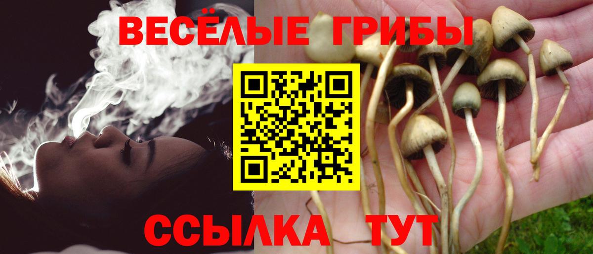 Псилоцибиновые грибы Psilocybe Усинск